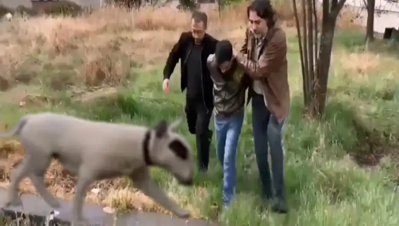 Şampiyon Köpeği Çalan Hırsız Yakalandı: 430 Bin Liralık Varlık Kurtarıldı!