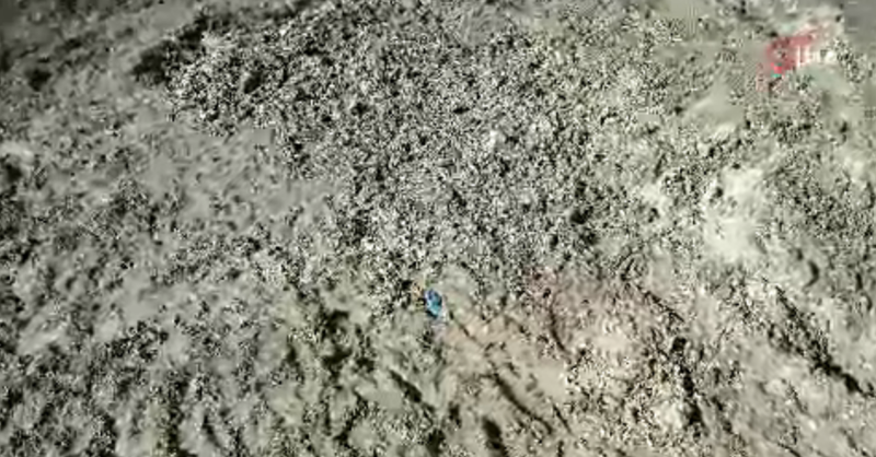 İstanbul’da Şok Edici Cinayet: Kayıp Çinli İş İnsanı Toprağa Gömülü Bulundu