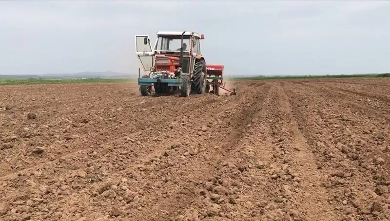 Mart Ayı Tarih Yazdı: 35 Yıldır Görülmeyen Kuraklık