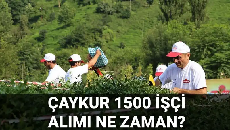 Çaykur İşçi Alımı Başvuru Tarihleri ve Sürecinde Son Gelişmeler