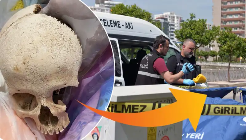 Sitenin Çöpünden Bulunan Kafatasının Esrarengiz Hikayesi ve Uzman Doktorun Gözaltına Alınması
