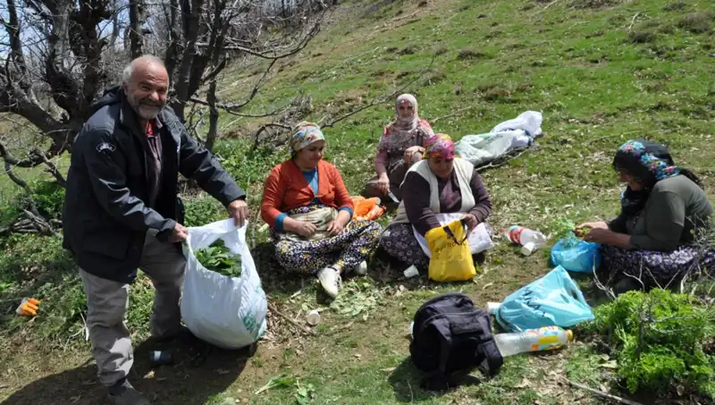 Yüksek Kilosu ile Dikkat Çeken Hamsi Yürüyüşü: Aileler İçin Geçim Kapısı