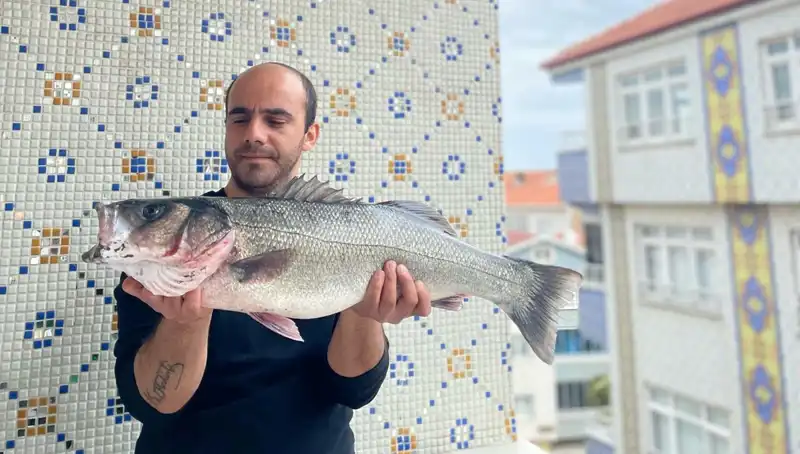 7,5 Kiloluk Dev Levrek Avlandı, Balıkçıları Heyecanlandırdı!