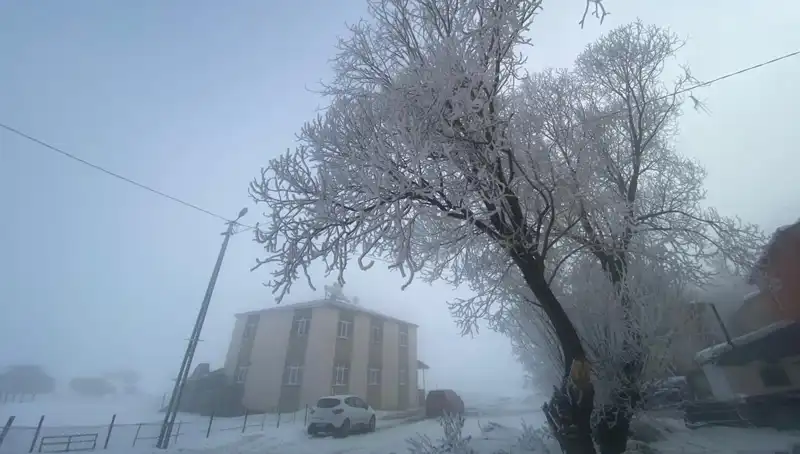 Soğuk Hava Dalgası: Göle'de Eksi 18 Derece Görüldü
