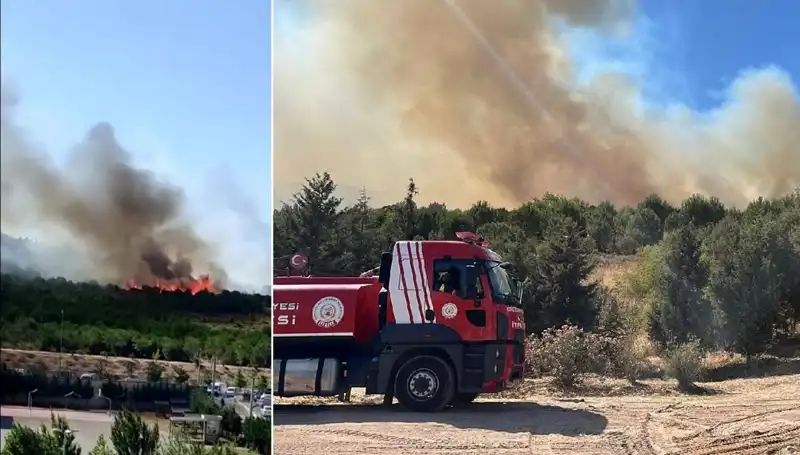 Gebze'de Müstakil Bir Orman Yangını Korkuttu: Detaylar Burada!