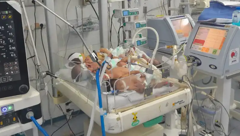 Gazze'de Doktorlar İçin Zorlu Sınav: Birden Fazla Bebek Aynı Kuvözde Hayatta Kalma Mücadelesi