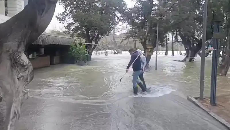 Manavgat Irmağı'nda Yükselen Sular, İşletmeleri Tehdit Ediyor: Bölgedeki Son Durum