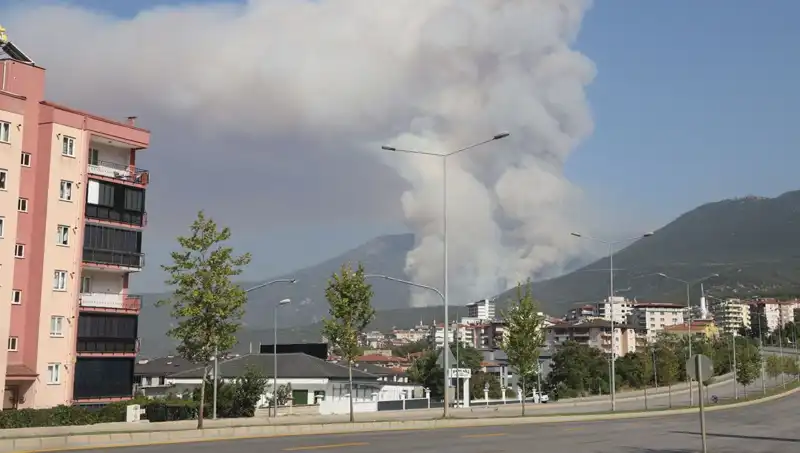 Denizli'de Orman Yangını: Şüpheli Gözaltında, Yangın Hızla Yayılıyor!