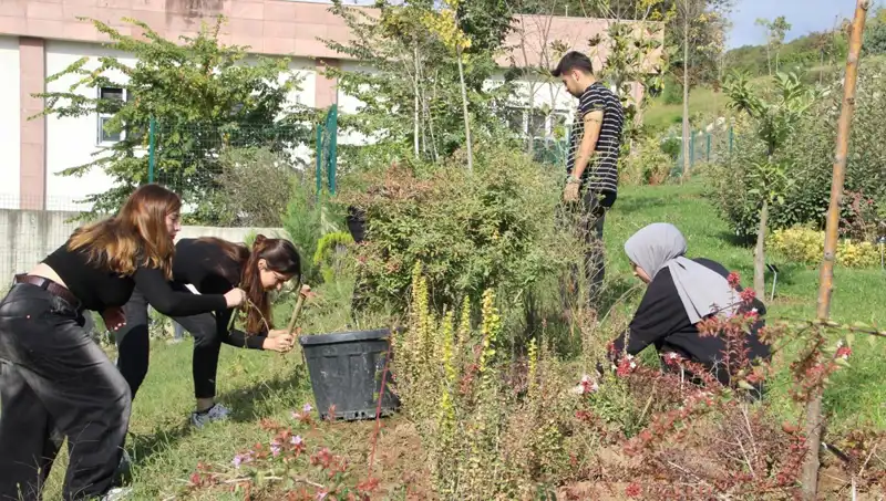 Düzce'nin Yıldızı Parlıyor: Hayalden Gerçeğe Dönüşen Başarı Hikayesi