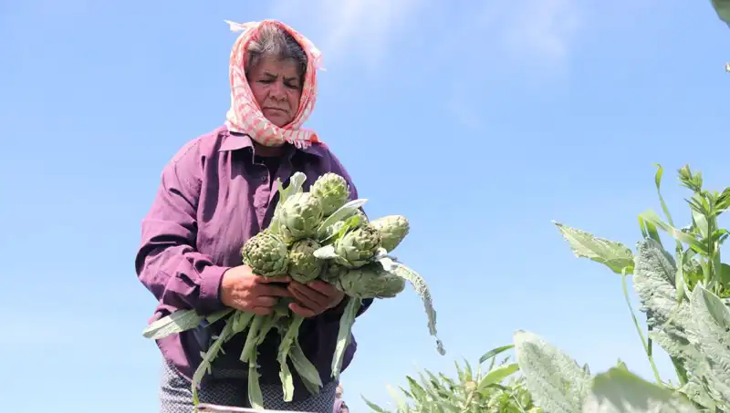 Tarladan Sofralara Yolculuk: Tanesi 50 TL Olan Ürünler Neler?