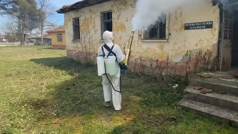 Çiftçilerin Kahverengi Kokarca Seferberliği: Mücadelede Yenilikçi Çözümler