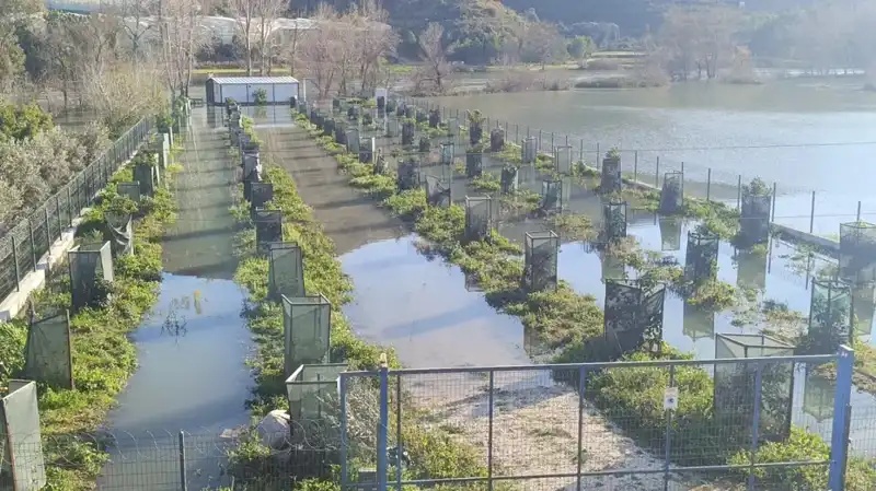 Irmak Taşması Otoyol Şantiyesini Vurdu: Sular Altında Kalan Proje!