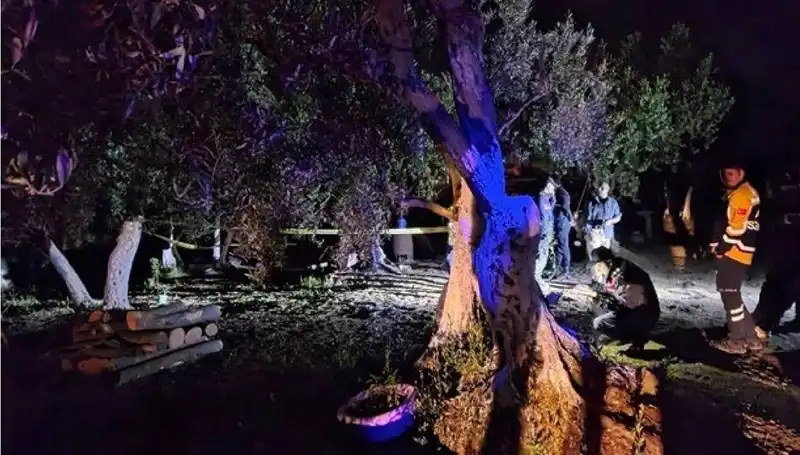 Çiftlikteki Kan Donduran Baltalı Vahşet Olayında İlk Tutuklama Gerçekleşti