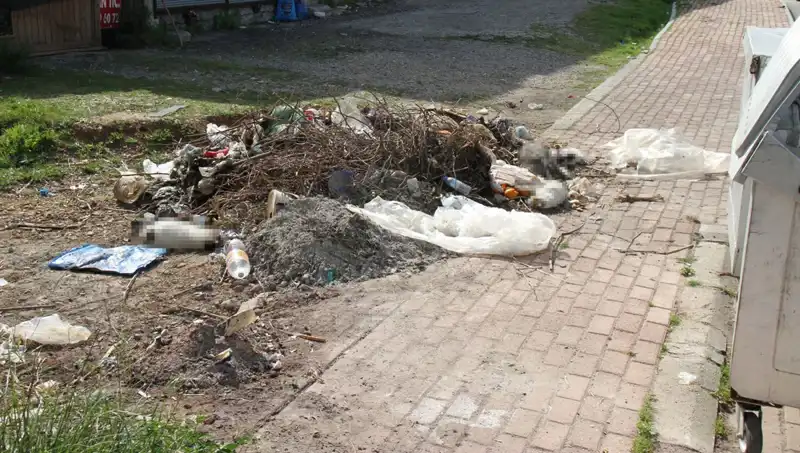 Antalya'da Sıra Dışı Olay: 10 Kedi Ölü Bulundu, Soruşturma Başlatıldı