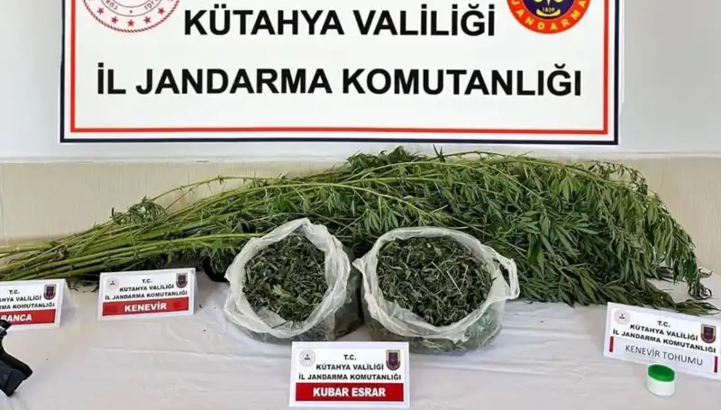 Kütahya'da Şok Uyuşturucu Operasyonu: Bir Şahıs Gözaltına Alındı