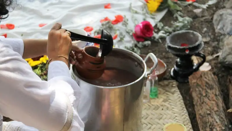 Ayahuasca Nedir? Yasal Durumu ve Faydaları Üzerine Her Şey