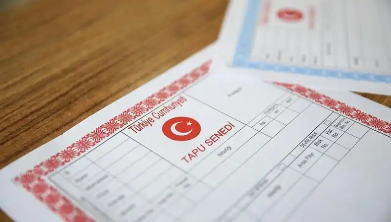 100 Milyonluk Dolandırıcılık: Hisseli Tapu Yalanı Türkiye'de Çarpıcı Detaylar ile Ortaya Çıktı