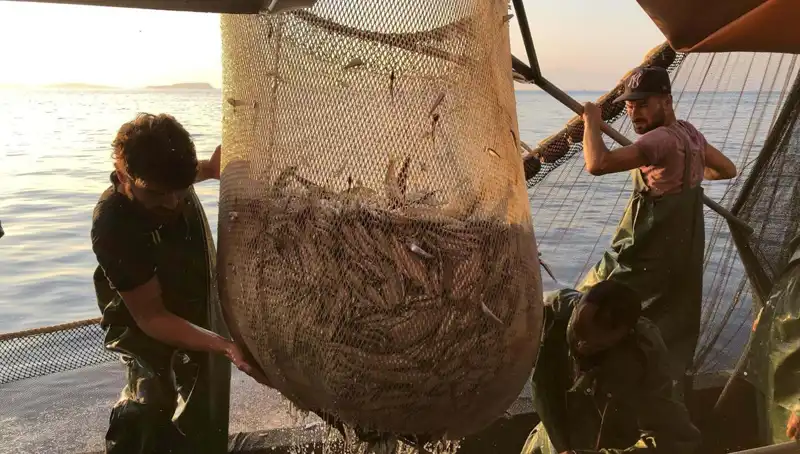 Balıkçılar Dava Açıyor: İhlal Yapanlara Kesin Ceza Uygulaması Başladı