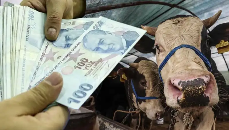 Kurban Bayramı Öncesi Maaşlar Yatacak mı? Emeklilere Müjde Var!