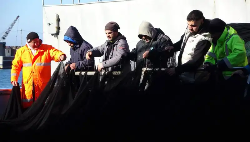 Hamsi Avında Şok Gelişme: Tekne Sahipleri Erken Paydos Etti!