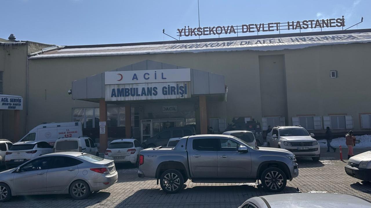 Başıboş Köpeklerin Saldırısında Ölen Çocuk Olayına Müfettiş Görevlendirildi