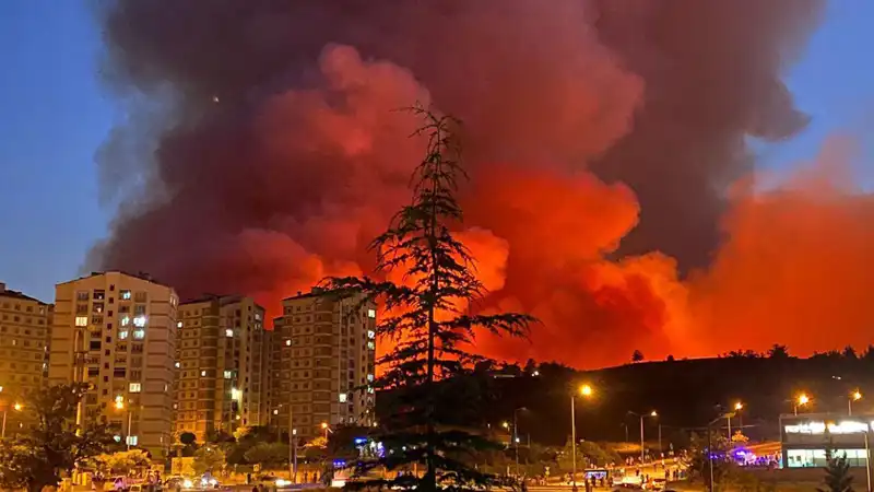 Bursa'da Kontrol Altına Alınamayan Yangınlar Şehri Tehdit Ediyor