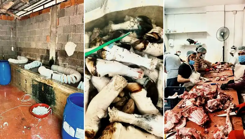 Adana'da Yüzlerce Kilo Kaçak Paça Ele Geçirildi: Çok Tartışılacak Görüntüler