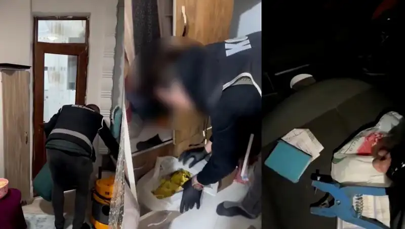 Hayvan Sevk Belgesi Usulsüzlüğü: Dokuz Şüpheli Gözaltında!